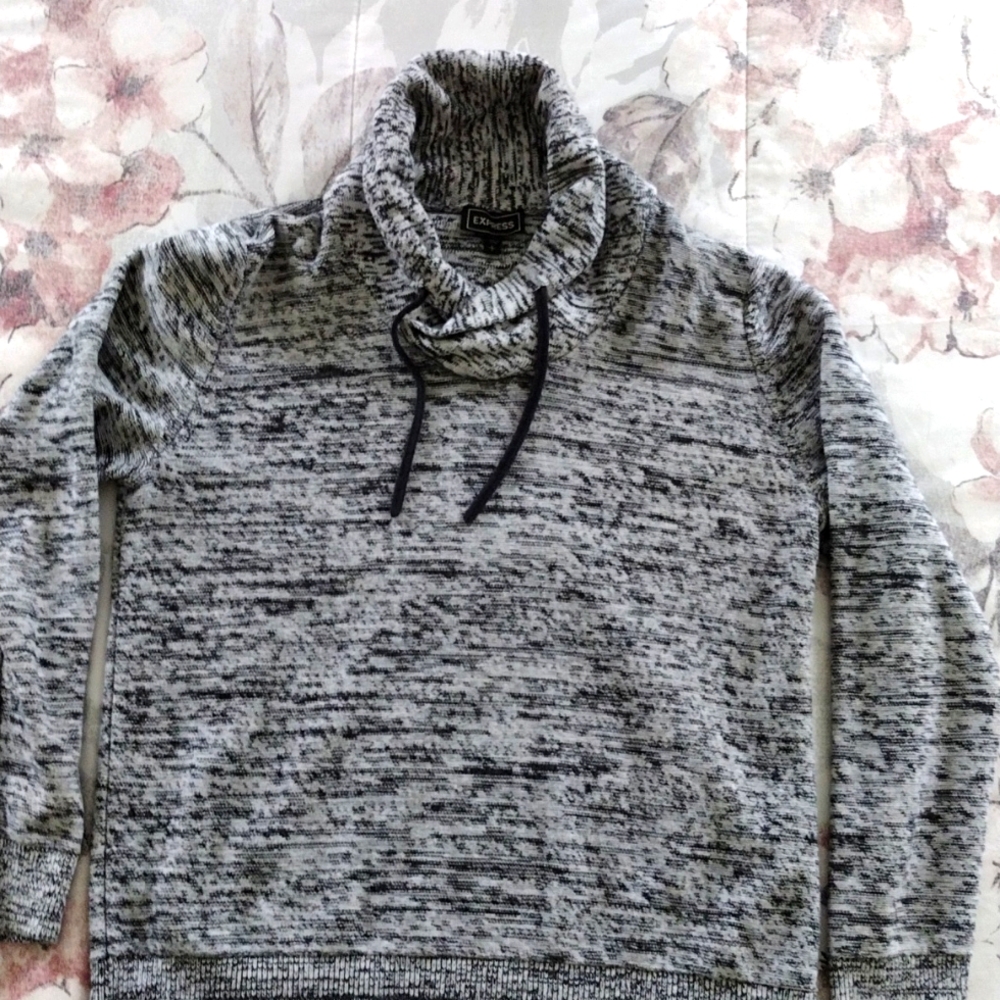 Express Sweater